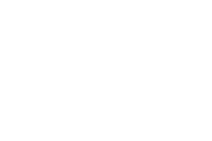 Ane-300X200